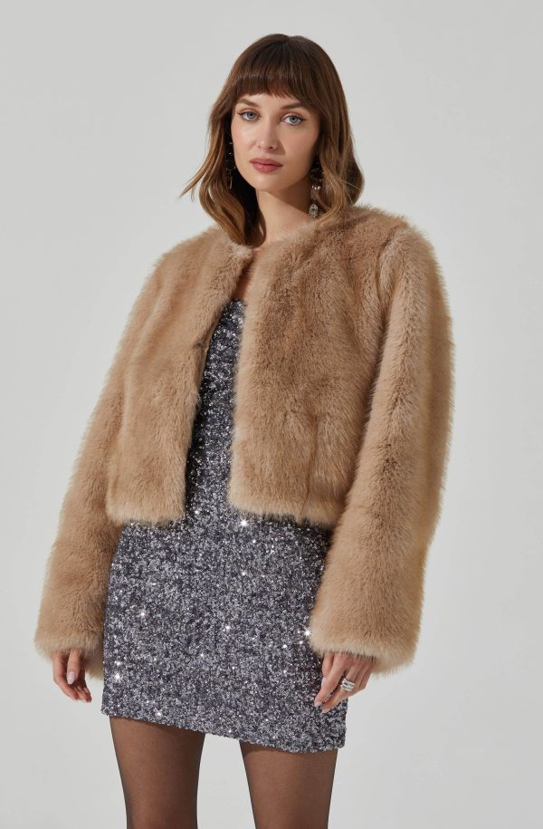 Doxey Faux Fur Cropped Jacket Cheap - Image 3