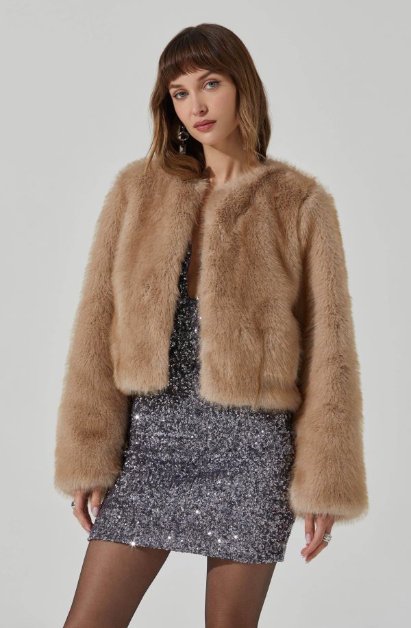 Doxey Faux Fur Cropped Jacket Cheap